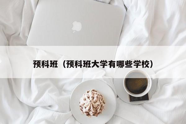 预科班（预科班大学有哪些学校）