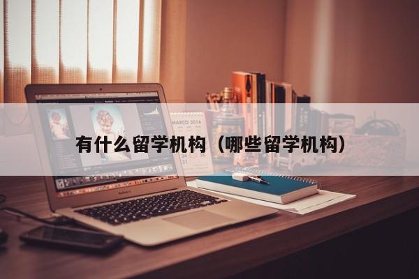 有什么留学机构（哪些留学机构）