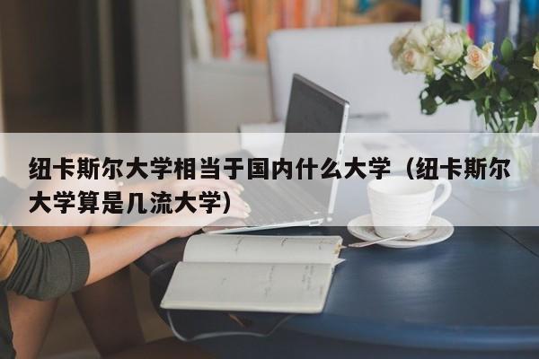 纽卡斯尔大学相当于国内什么大学（纽卡斯尔大学算是几流大学）