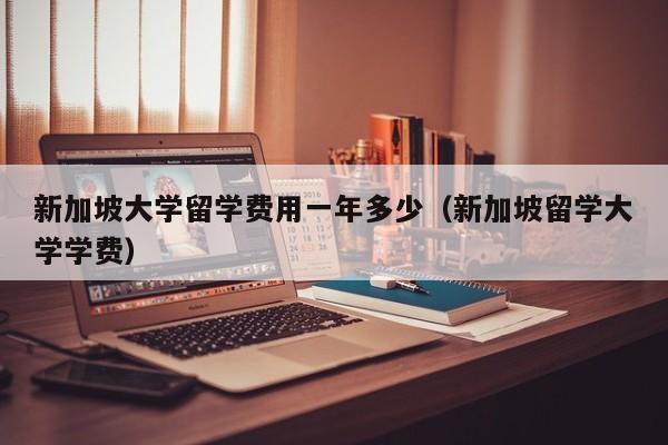 新加坡大学留学费用一年多少（新加坡留学大学学费）