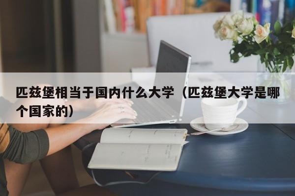 匹兹堡相当于国内什么大学（匹兹堡大学是哪个国家的）