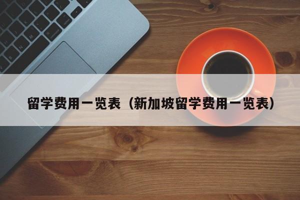 留学费用一览表（新加坡留学费用一览表）