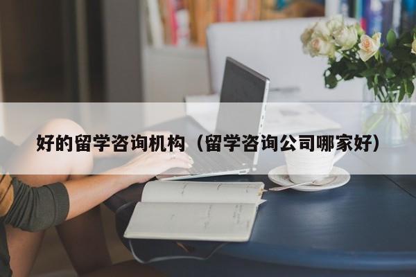 好的留学咨询机构（留学咨询公司哪家好）