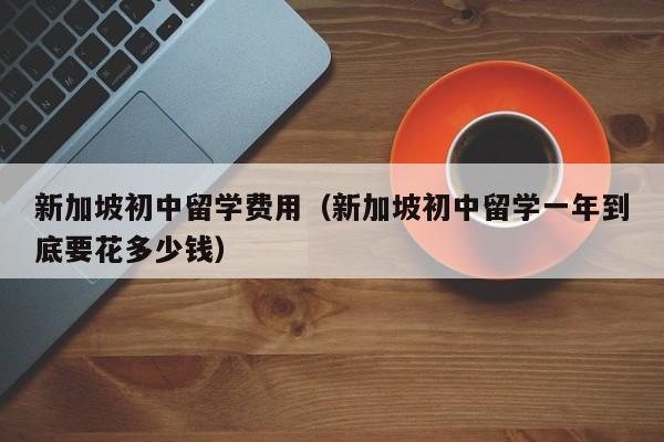 新加坡初中留学费用（新加坡初中留学一年到底要花多少钱）