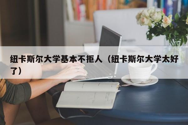 纽卡斯尔大学基本不拒人（纽卡斯尔大学太好了）