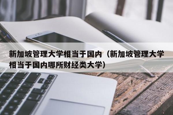 新加坡管理大学相当于国内（新加坡管理大学相当于国内哪所财经类大学）