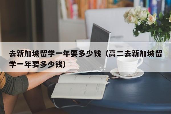 去新加坡留学一年要多少钱（高二去新加坡留学一年要多少钱）