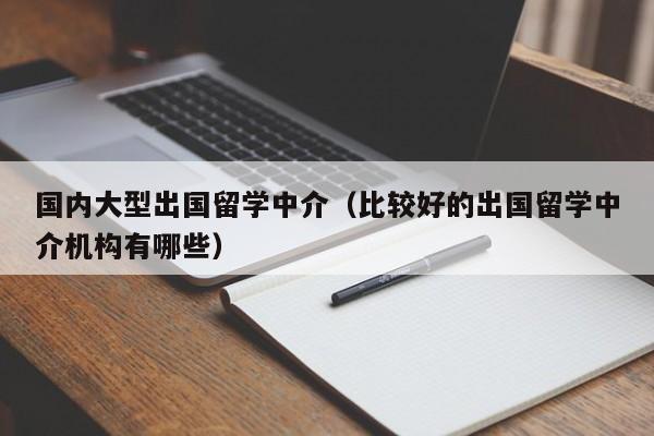 国内大型出国留学中介（比较好的出国留学中介机构有哪些）