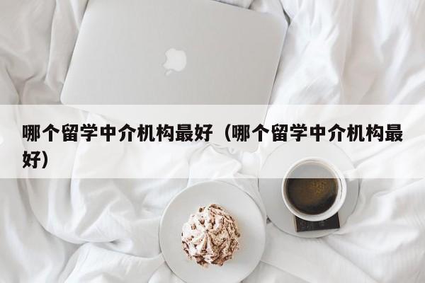 哪个留学中介机构最好（哪个留学中介机构最好）