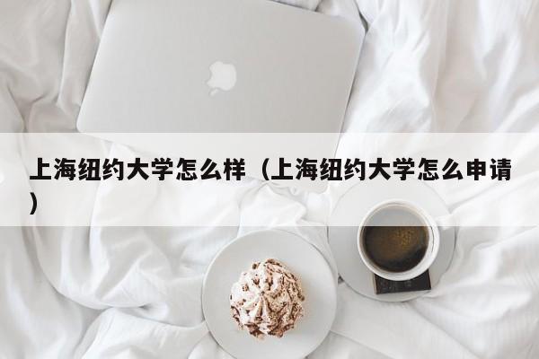 上海纽约大学怎么样（上海纽约大学怎么申请）