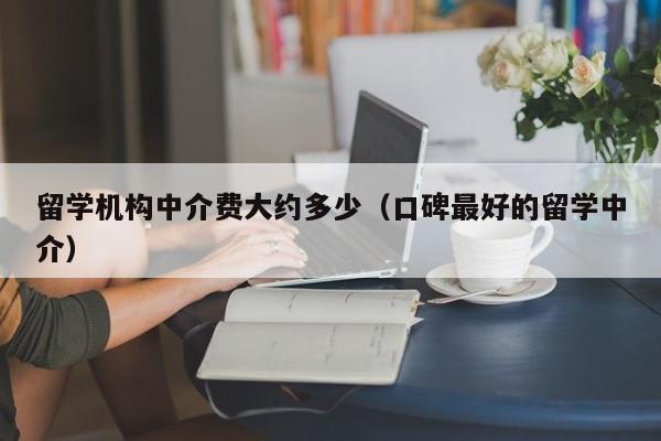 留学机构中介费大约多少（口碑最好的留学中介）