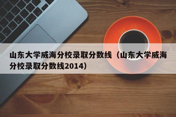 山东大学威海分校录取分数线（山东大学威海分校录取分数线2014）