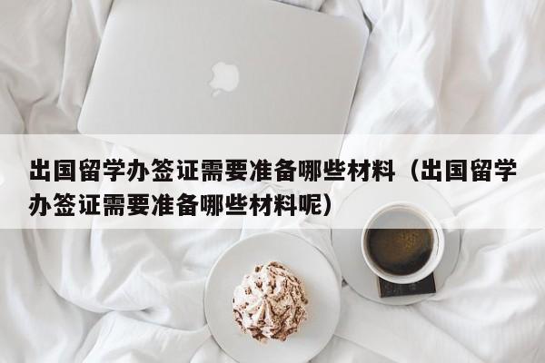 出国留学办签证需要准备哪些材料（出国留学办签证需要准备哪些材料呢）