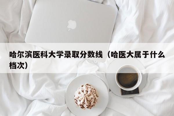 哈尔滨医科大学录取分数线（哈医大属于什么档次）