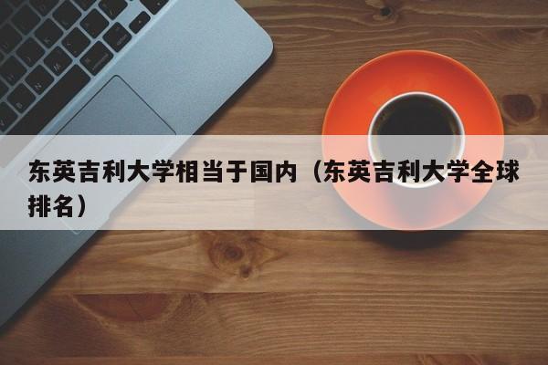 东英吉利大学相当于国内（东英吉利大学全球排名）