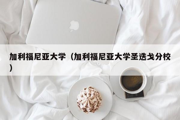 加利福尼亚大学（加利福尼亚大学圣迭戈分校）