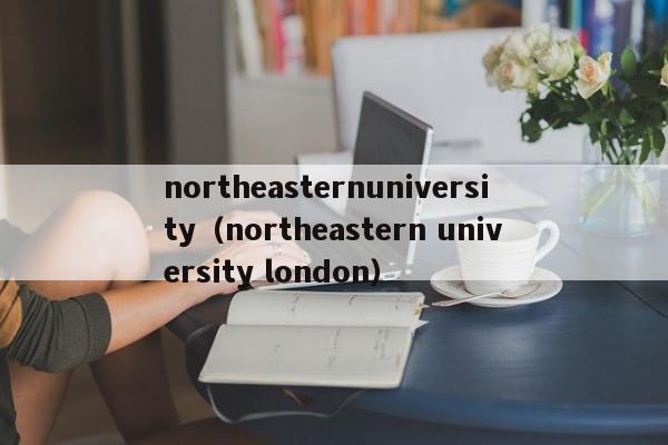 northeasternuniversity（northeastern university london）