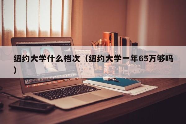 纽约大学什么档次（纽约大学一年65万够吗）