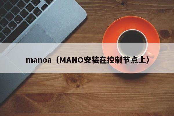 manoa（MANO安装在控制节点上）