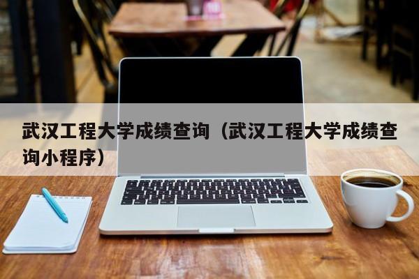 武汉工程大学成绩查询（武汉工程大学成绩查询小程序）