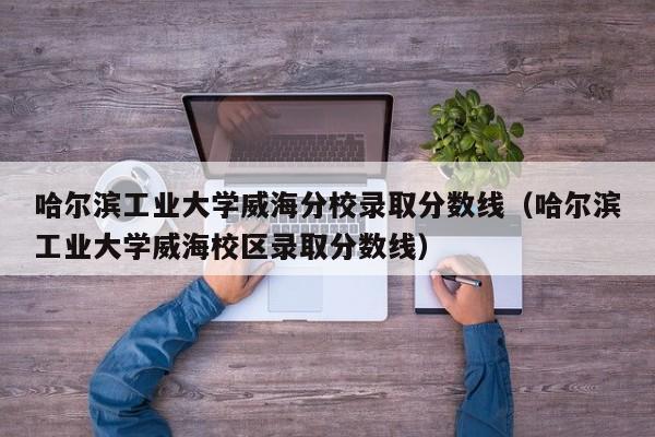 哈尔滨工业大学威海分校录取分数线（哈尔滨工业大学威海校区录取分数线）