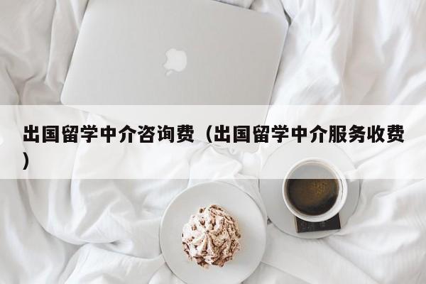 出国留学中介咨询费（出国留学中介服务收费）