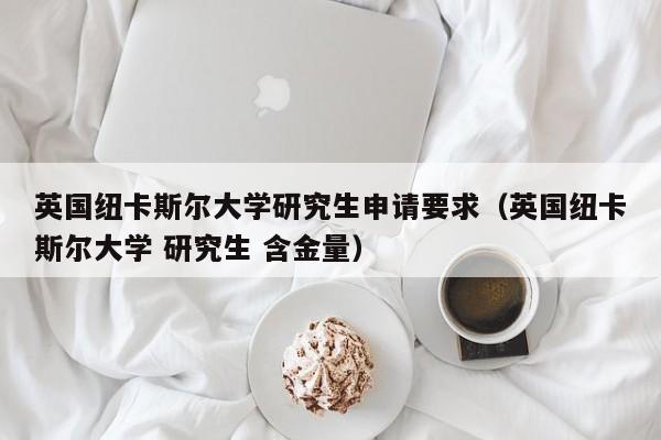 英国纽卡斯尔大学研究生申请要求（英国纽卡斯尔大学 研究生 含金量）