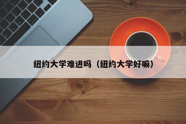 纽约大学难进吗（纽约大学好嘛）