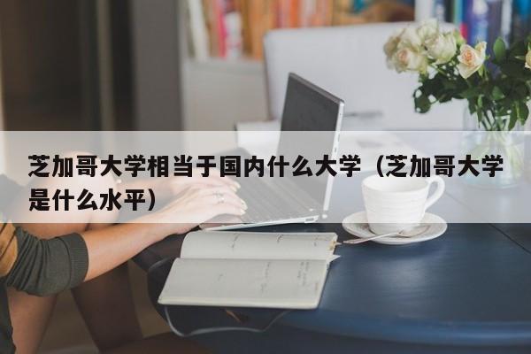 芝加哥大学相当于国内什么大学（芝加哥大学是什么水平）